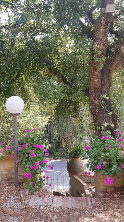 Casa Bruna - Cipresseta Del Chianti Castellina in Chianti Kültér fotó