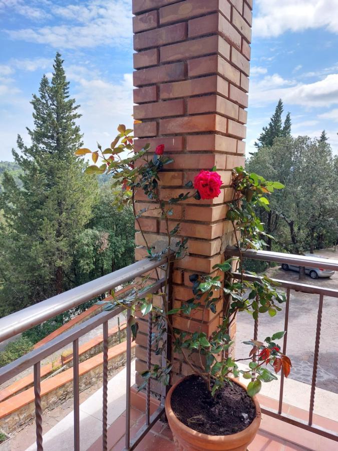 Casa Bruna - Cipresseta Del Chianti Castellina in Chianti Kültér fotó